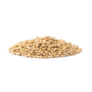Premium Lebanese Pine Nuts
